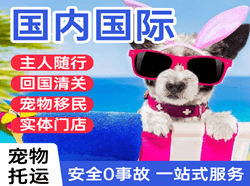青山空运地址国际宠物托运 【国